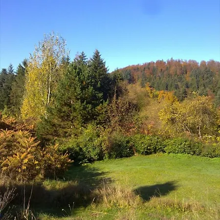 Affittacamere Stiersbach *